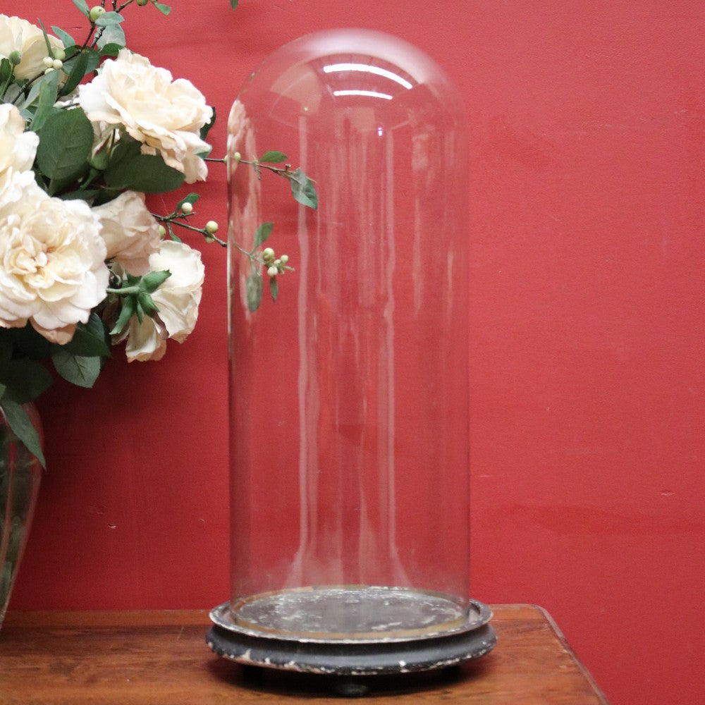 x SOLD Antique French Glass Dome on a Timber Base, Taxidermy or Clock Display Dome. B11737
