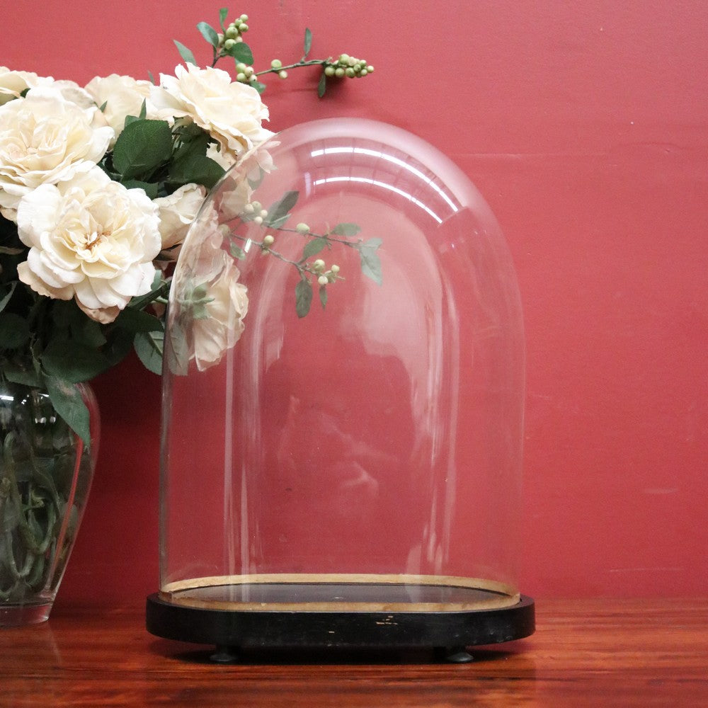 x SOLD Antique Glass Dome and Wooden Base, Statue, Religious, Clock Cover, Taxidermy Dome. B12125